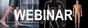 6 CE Hour Neuromuscular Therapy Basics (Computer-Based Live Interactive Webinar)