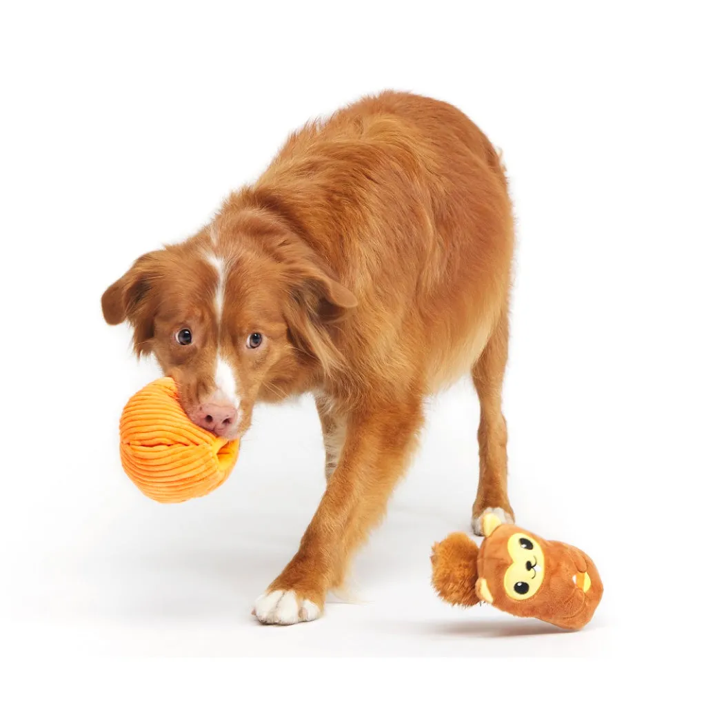 Bark Squirrel O' Lantern Plush Toy For Dogs (Small)