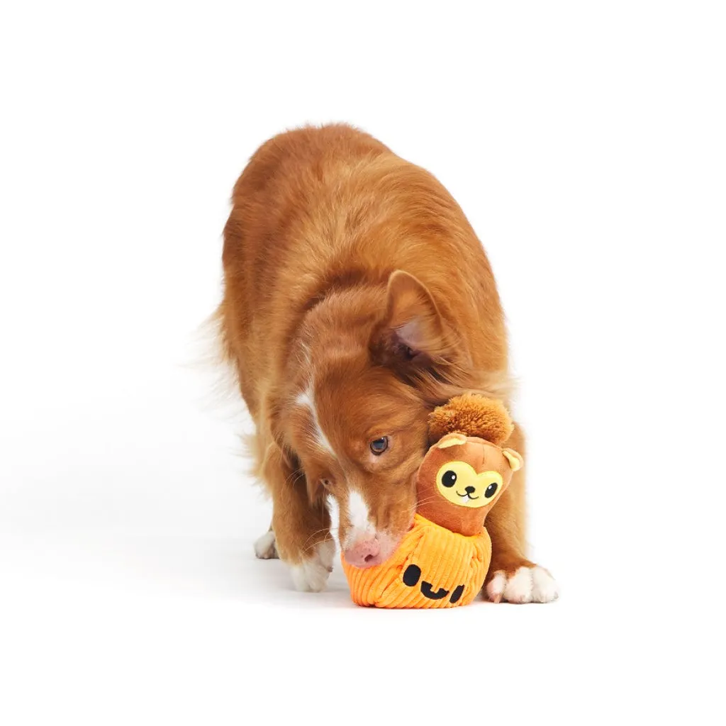 Bark Squirrel O' Lantern Plush Toy For Dogs (Small)