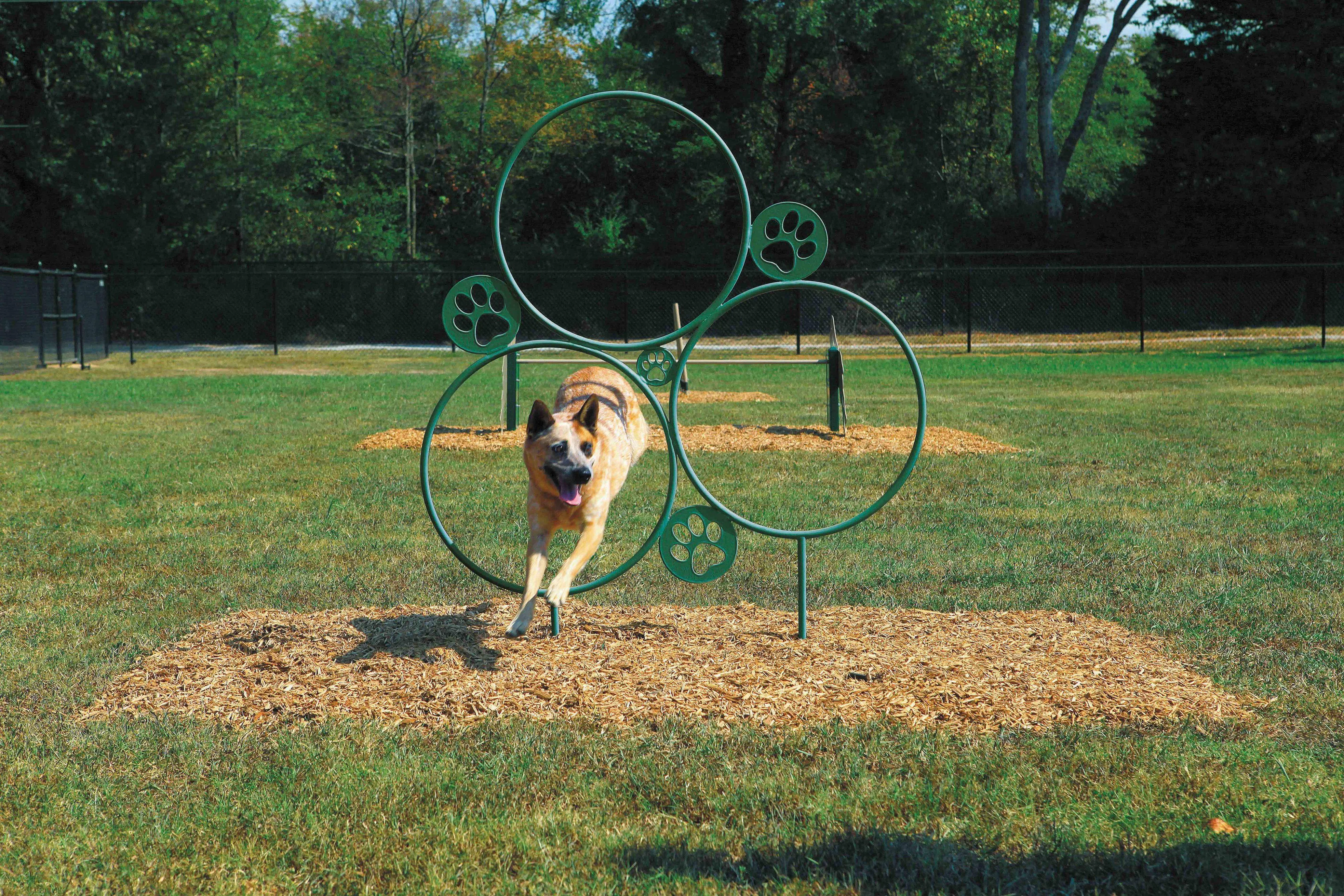 BarkPark by Ultrasite Best in Show Dog Park Kit