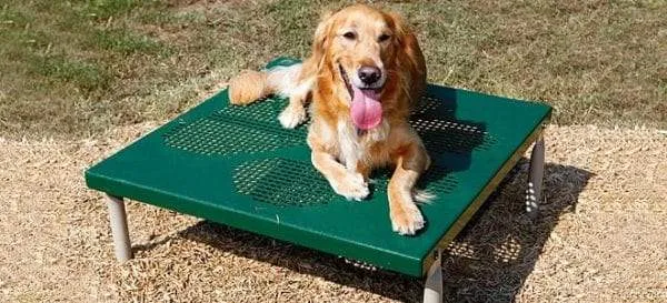 BarkPark by Ultrasite Best in Show Dog Park Kit