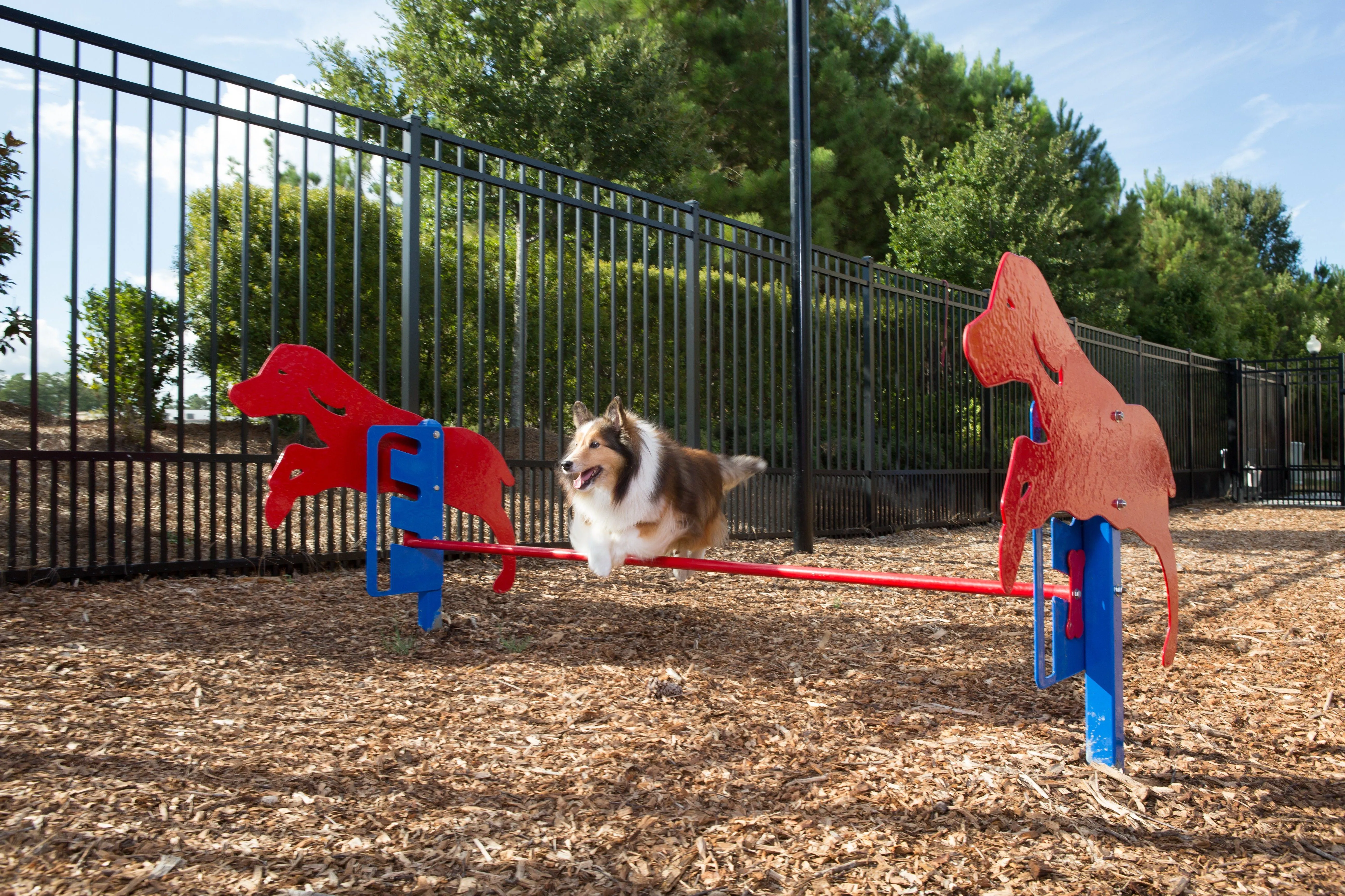 BarkPark by Ultrasite Best in Show Dog Park Kit