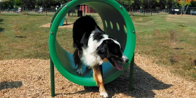 BarkPark by Ultrasite Best in Show Dog Park Kit