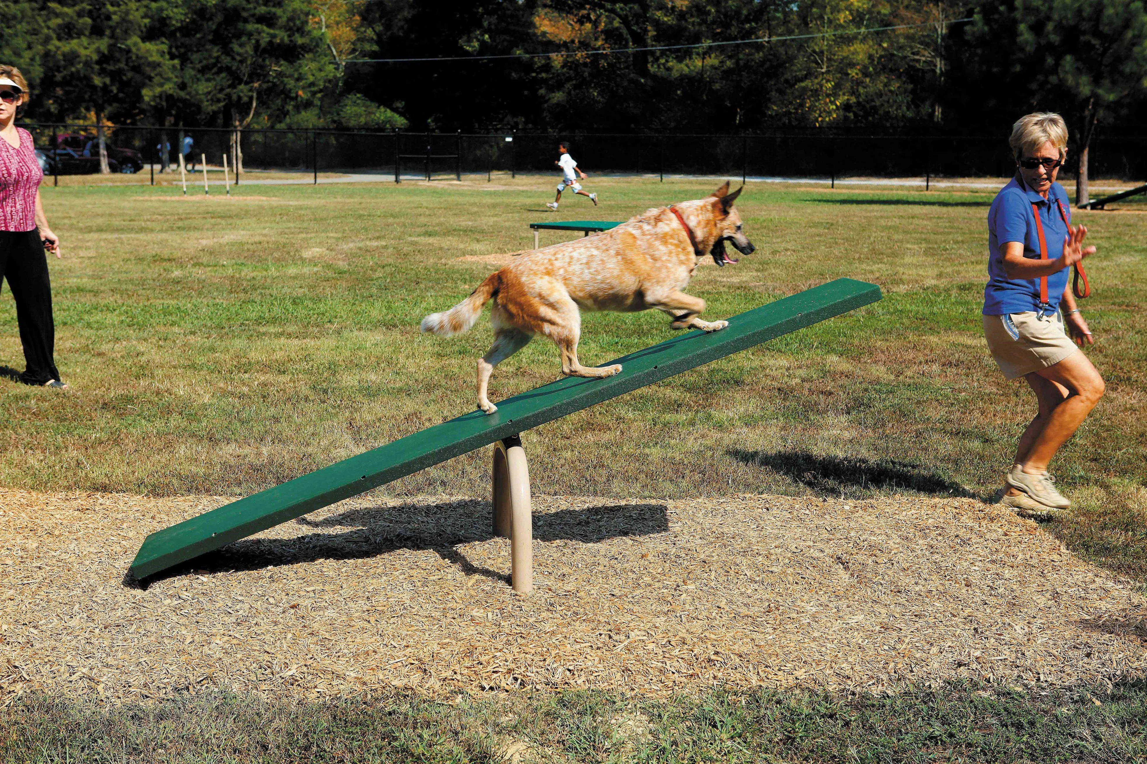 BarkPark by Ultrasite Expert Dog Park Kit