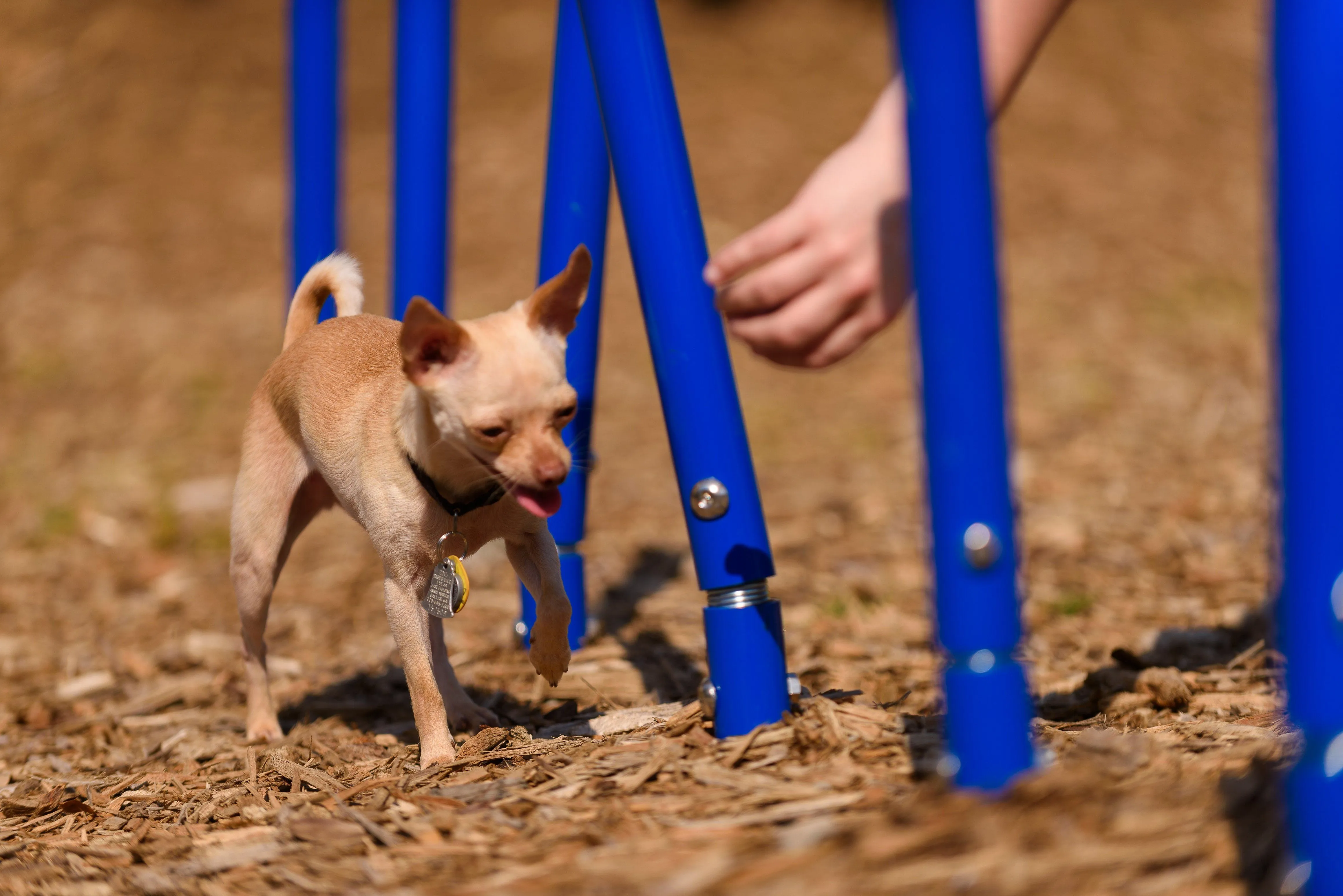 BarkPark by Ultrasite Expert Dog Park Kit