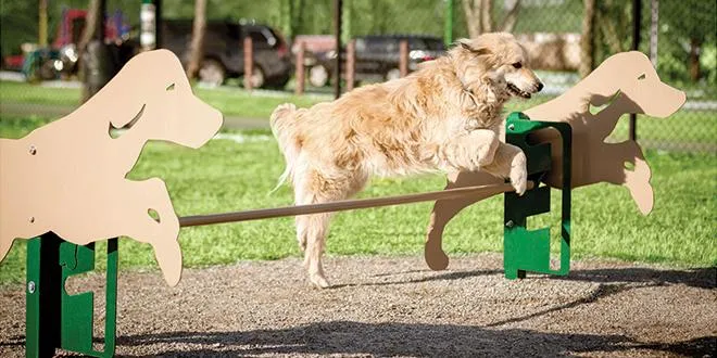 BarkPark by Ultrasite Expert Dog Park Kit