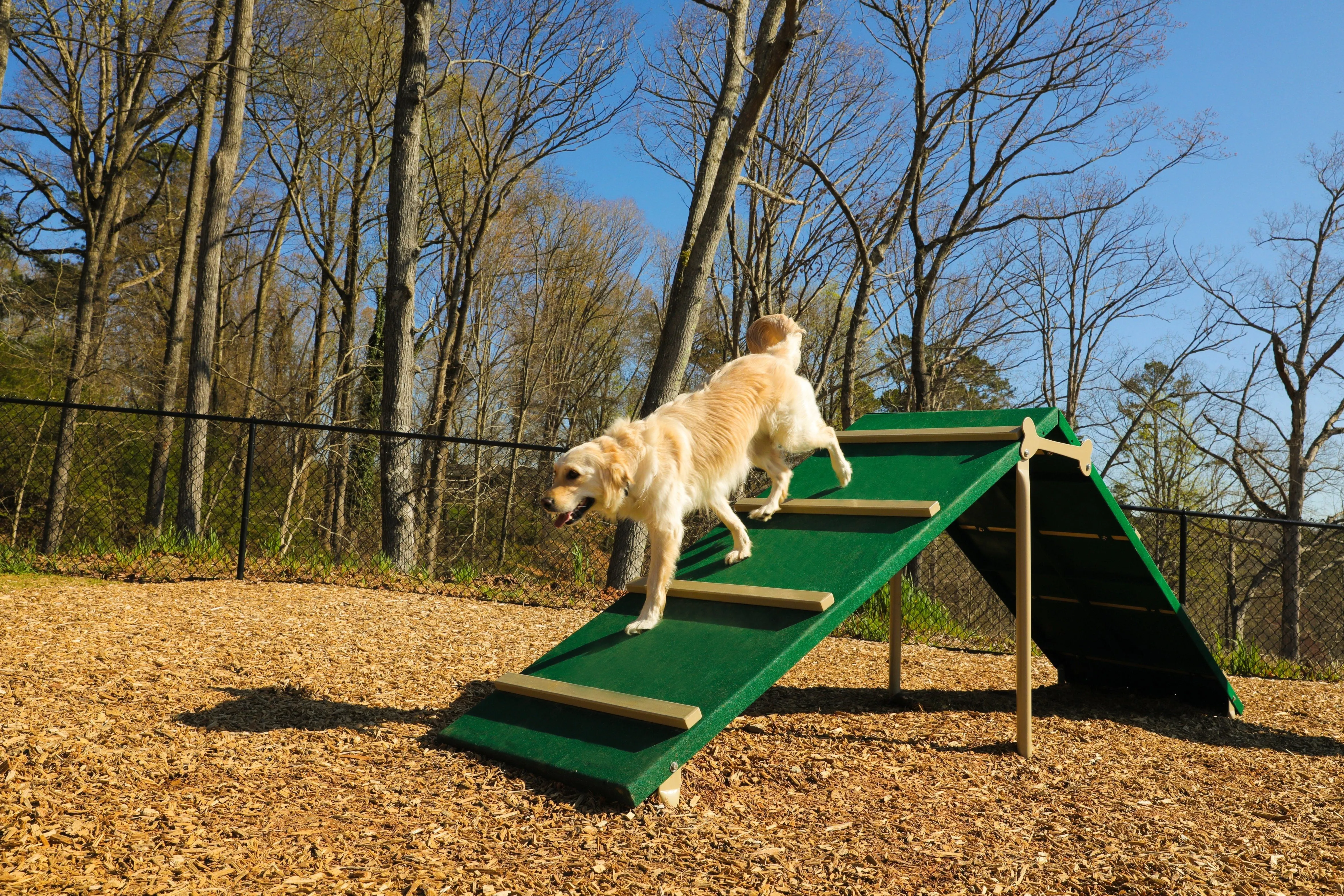 BarkPark by Ultrasite Intermediate Dog Park Kit