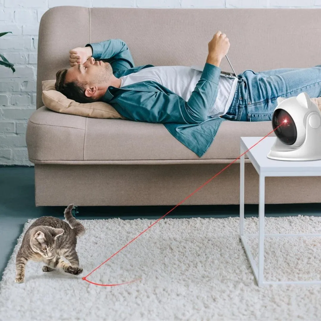 CatCam Interactive Cat Laser Pointer