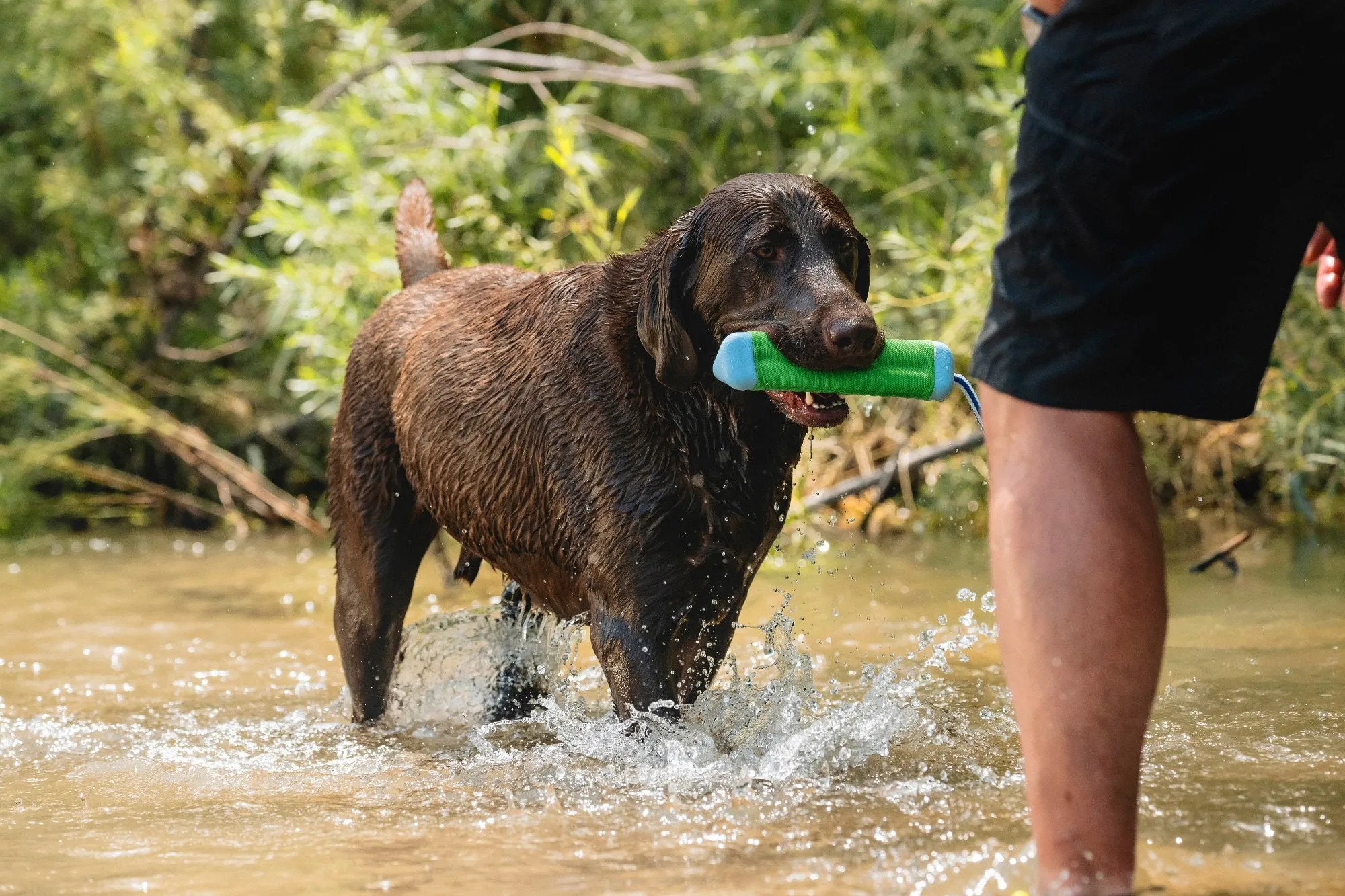 Chuckit! Amphibious Bumper Floating Dog Toy