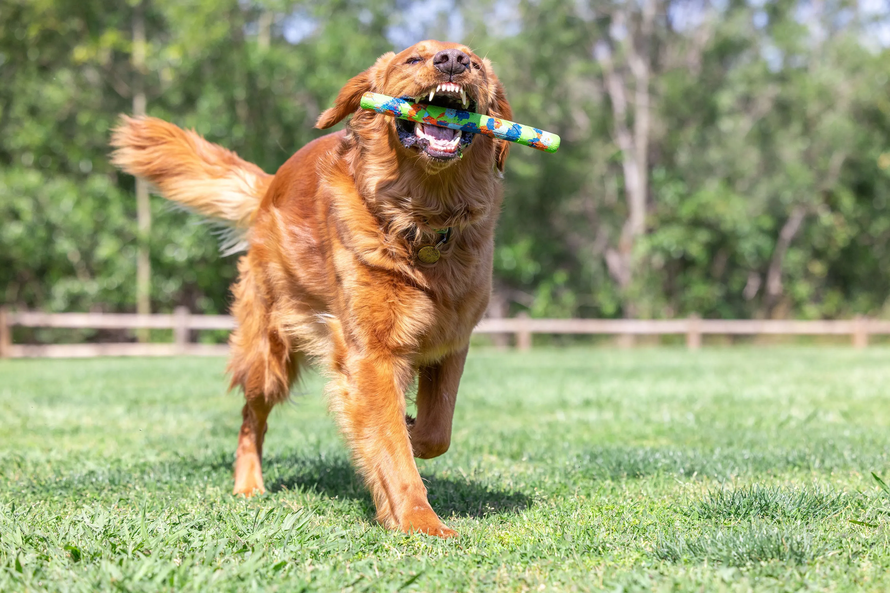 Chuckit! EcoFetch Stick Recycled Rubber Dog Toy