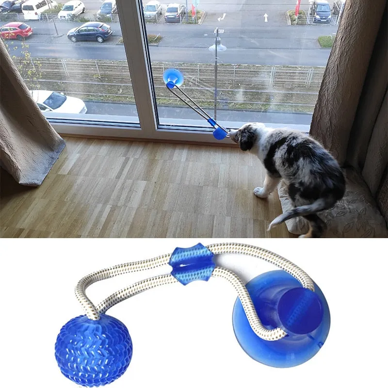 Dog Toys Pet Puppy Interactive Suction Cup Push TPR Ball Toys