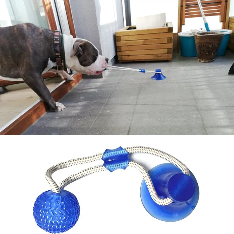 Dog Toys Pet Puppy Interactive Suction Cup Push TPR Ball Toys