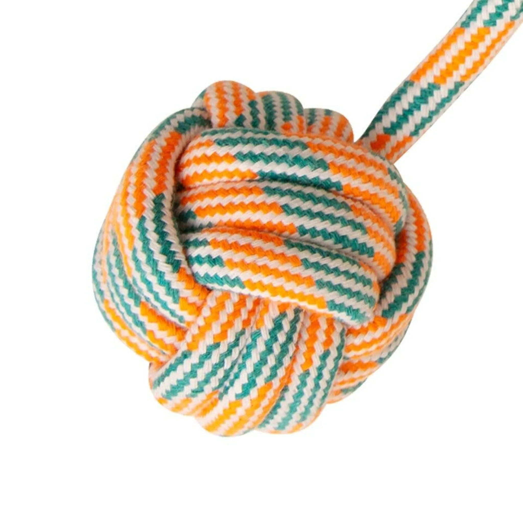 Floss N' Fun Rope Dog Toy