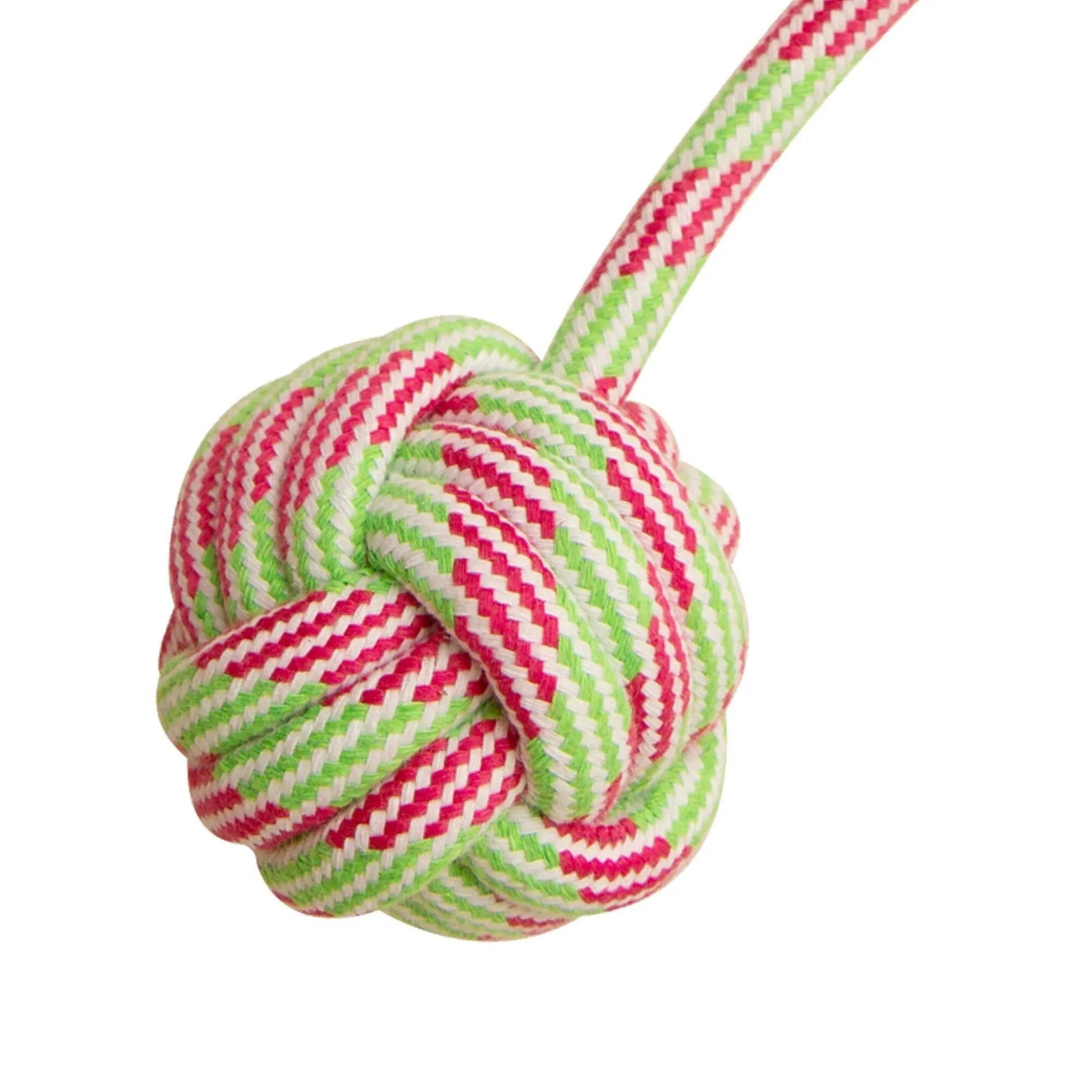 Floss N' Fun Rope Dog Toy