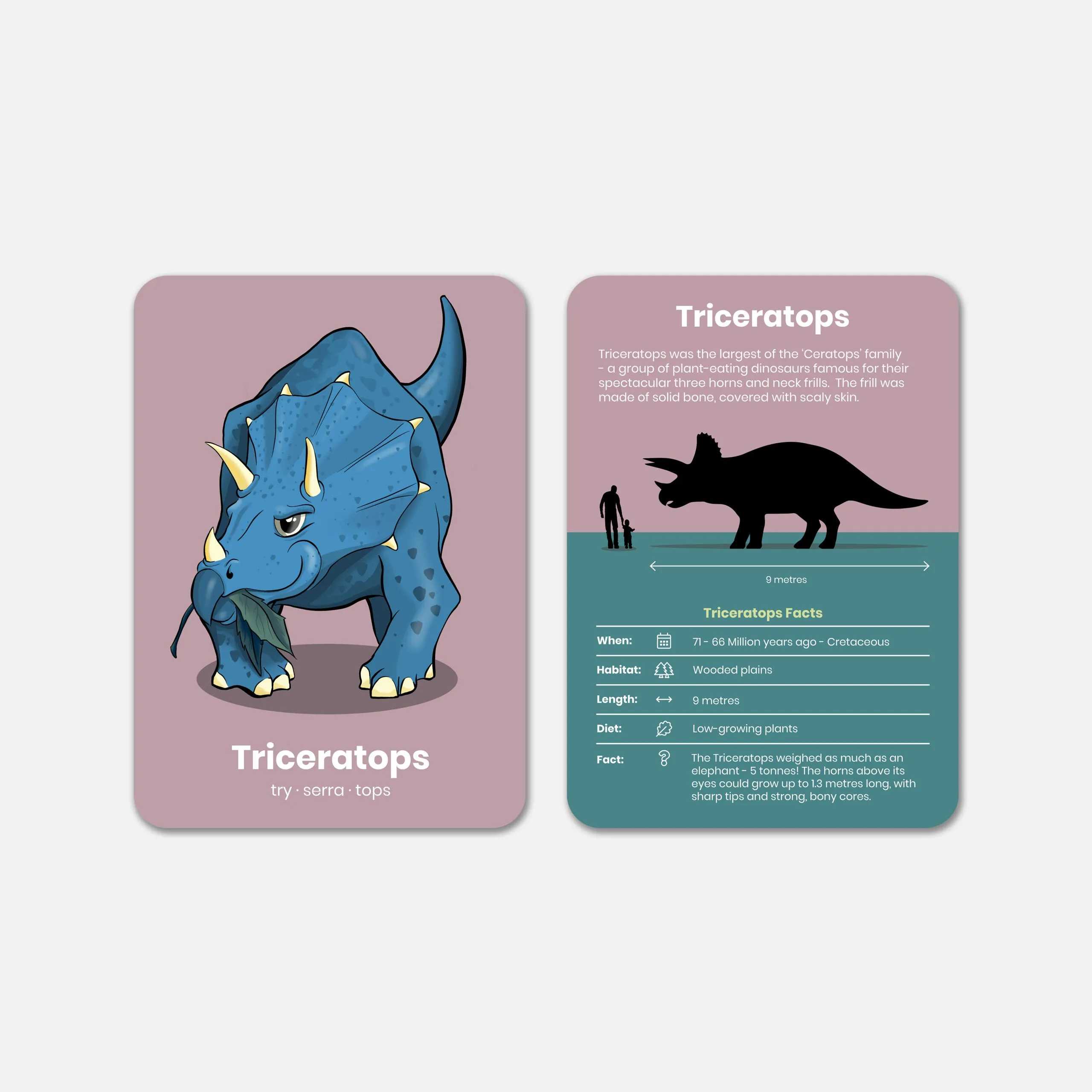 Happy Little Doers Learn Dinosaurs Flashcards