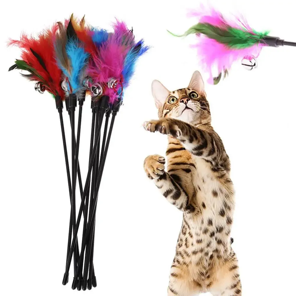 Interactive Cat Teaser Wands