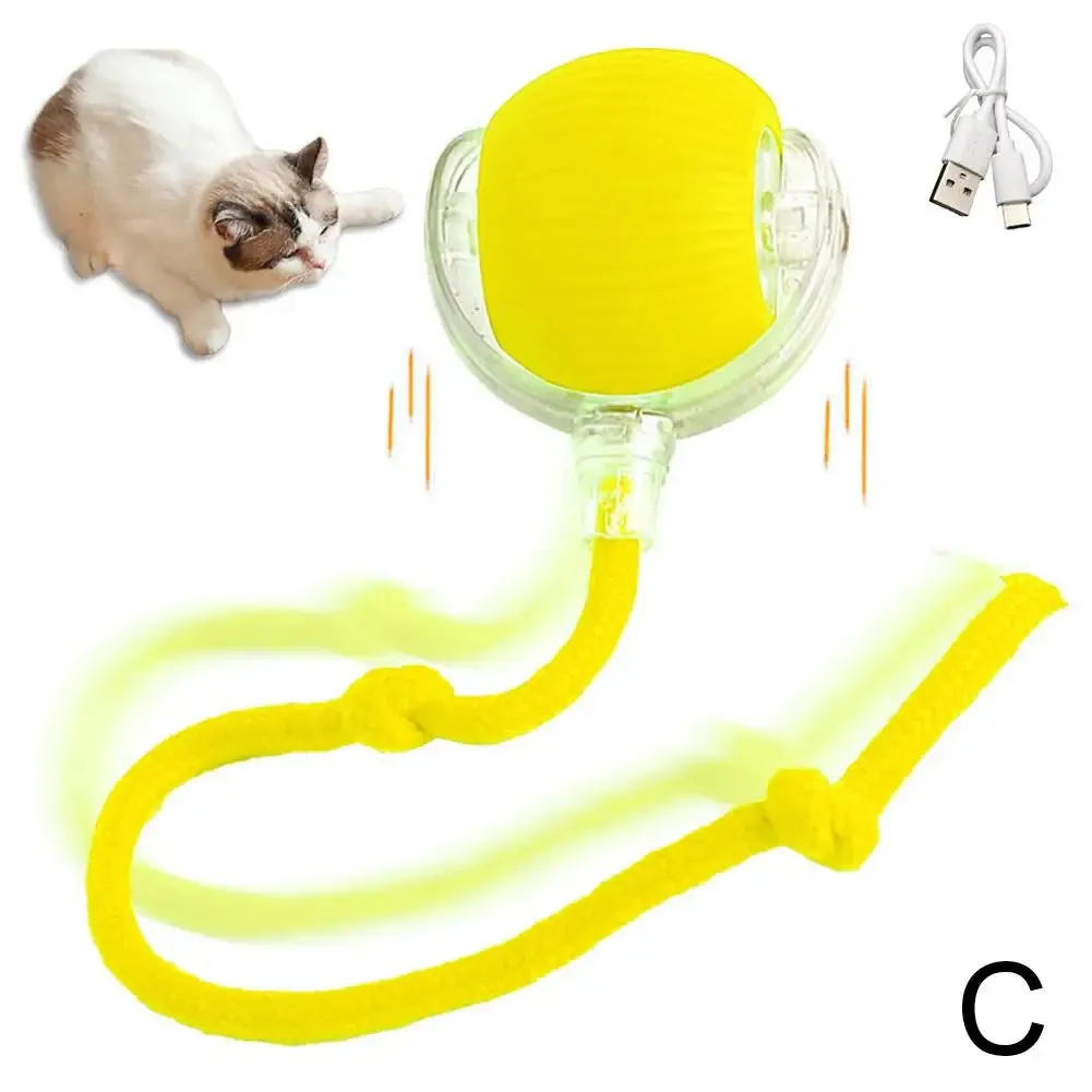 Interactive Rechargeable Cat Chase Ball