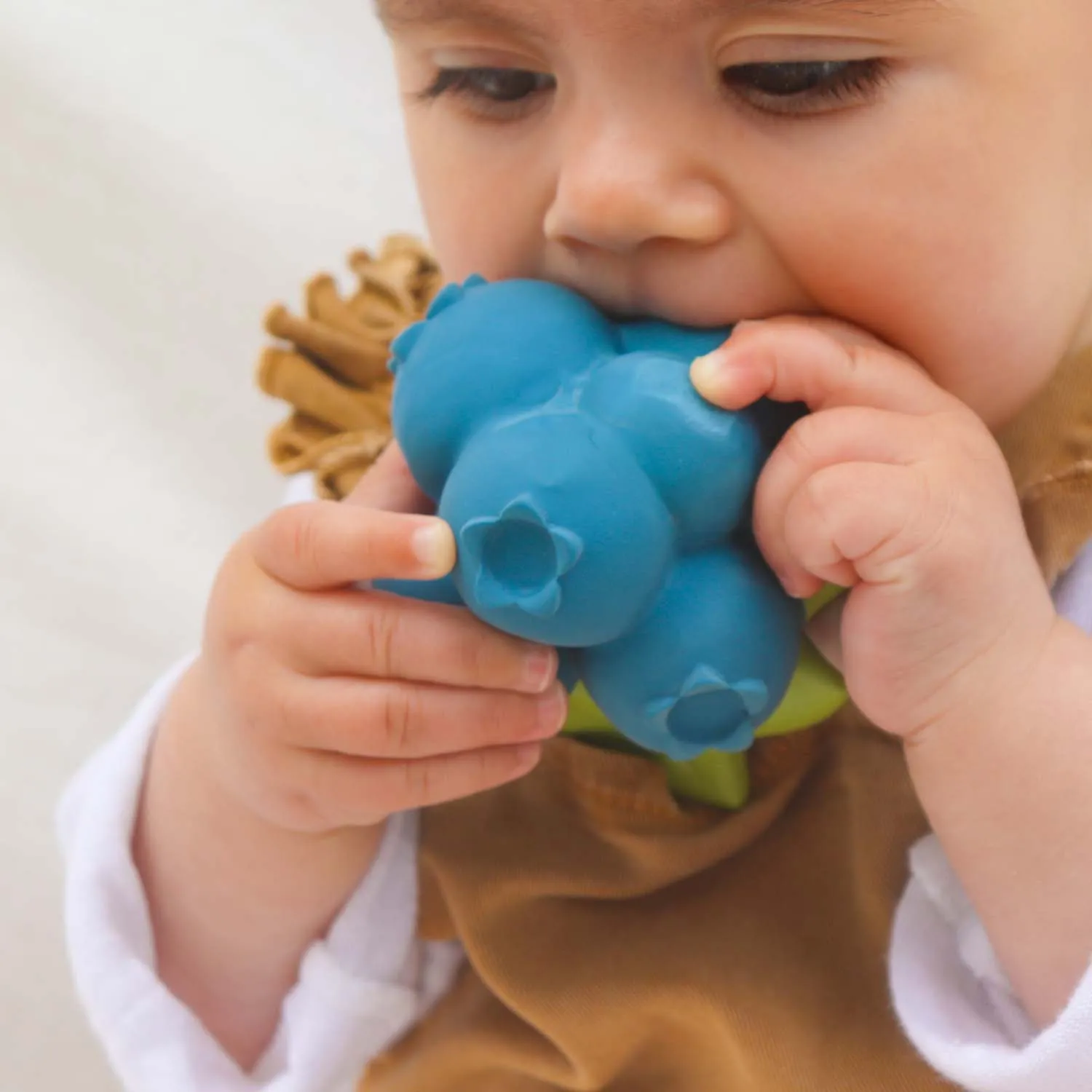 Jerry the Blueberry Baby Teether