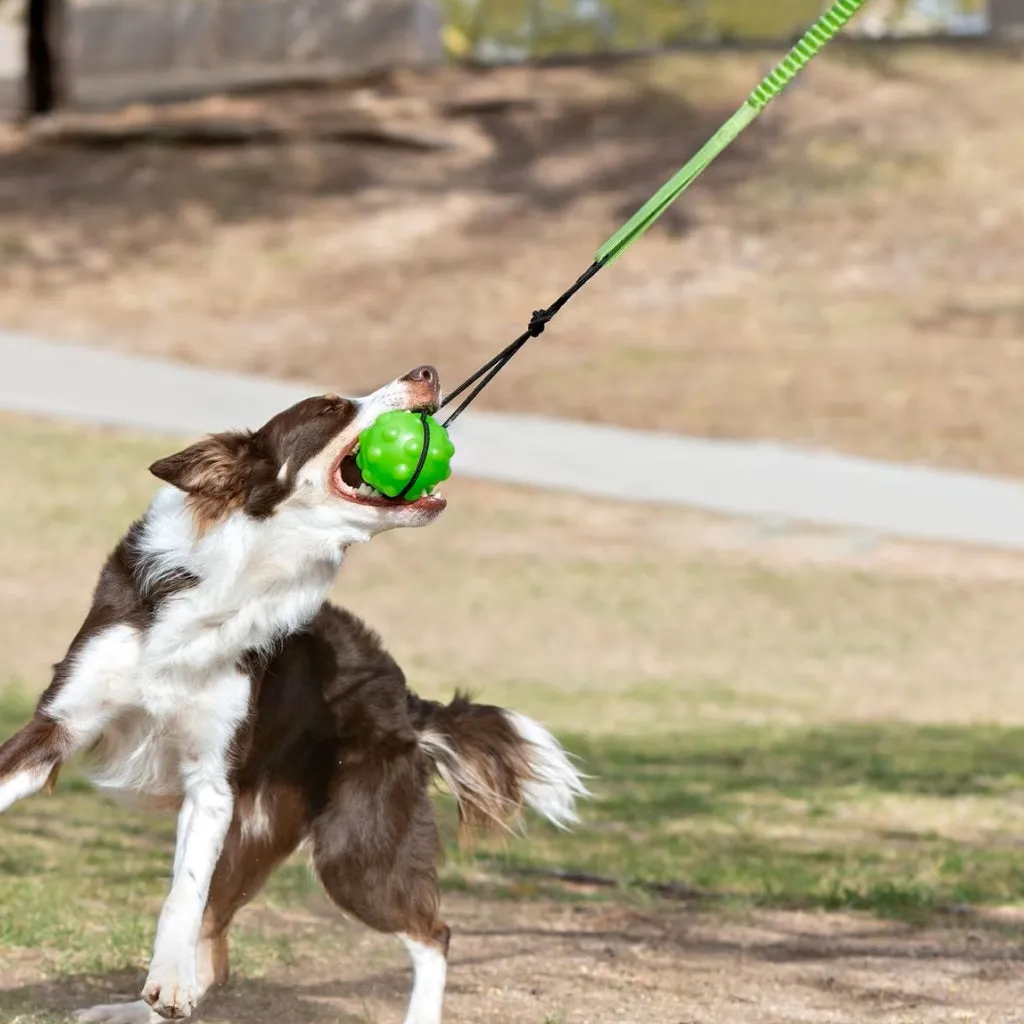 Jolly Pet Tree Tugger Toy For Dog