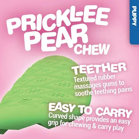 JW Prickl-ee Pear Puppy Teether Chew Toy