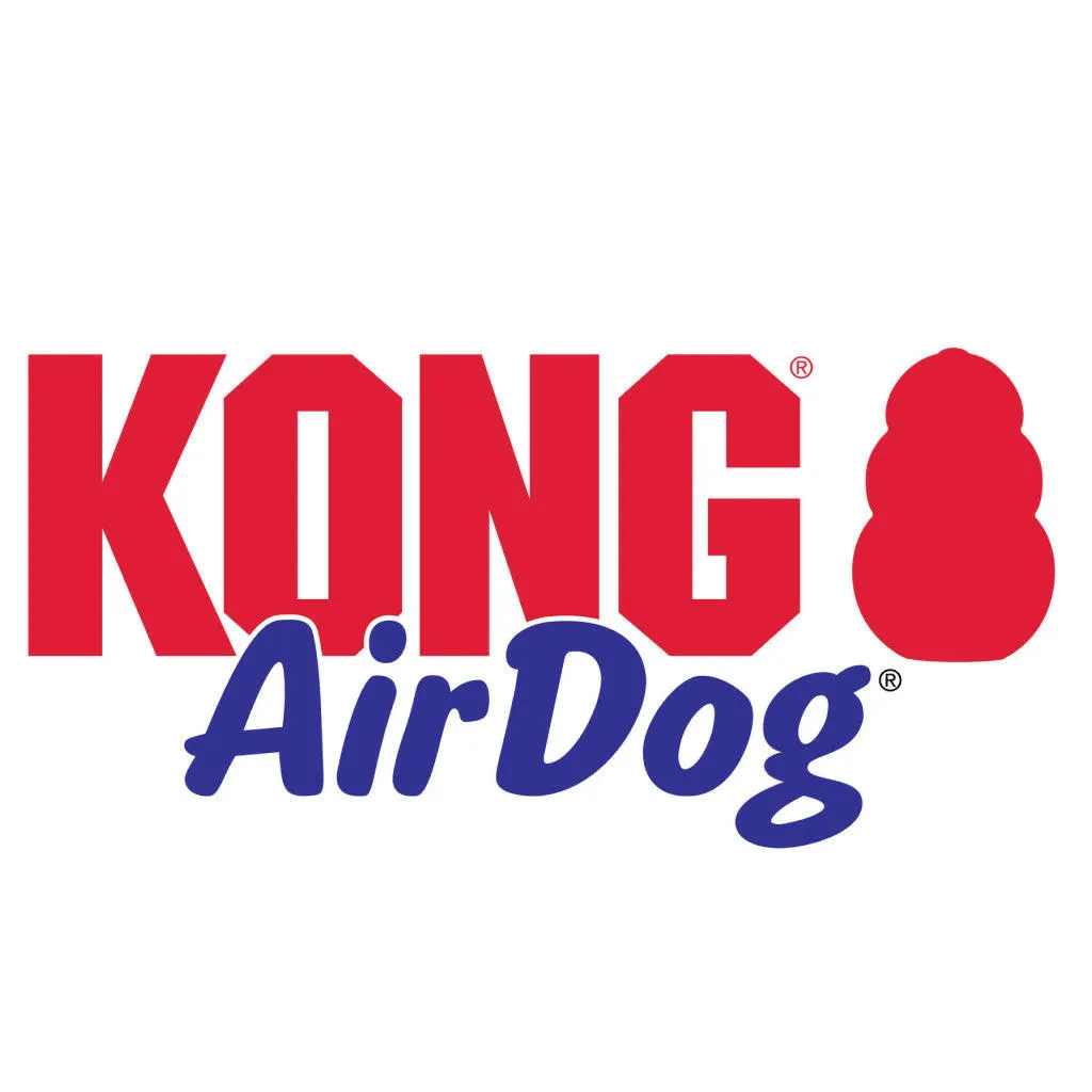 Kong AirDog Squeaker Bone Dog Toy