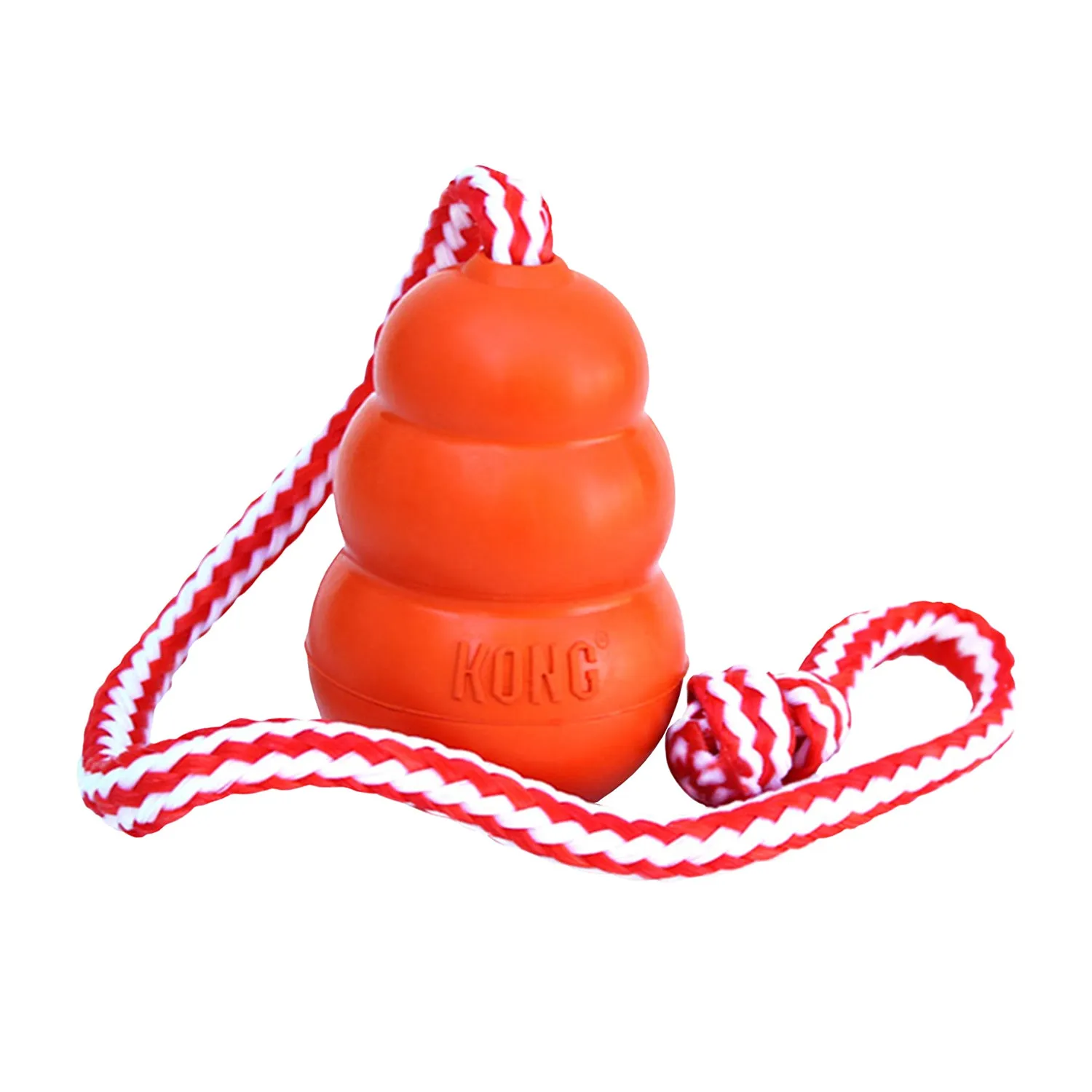 KONG Aqua Dog Toy