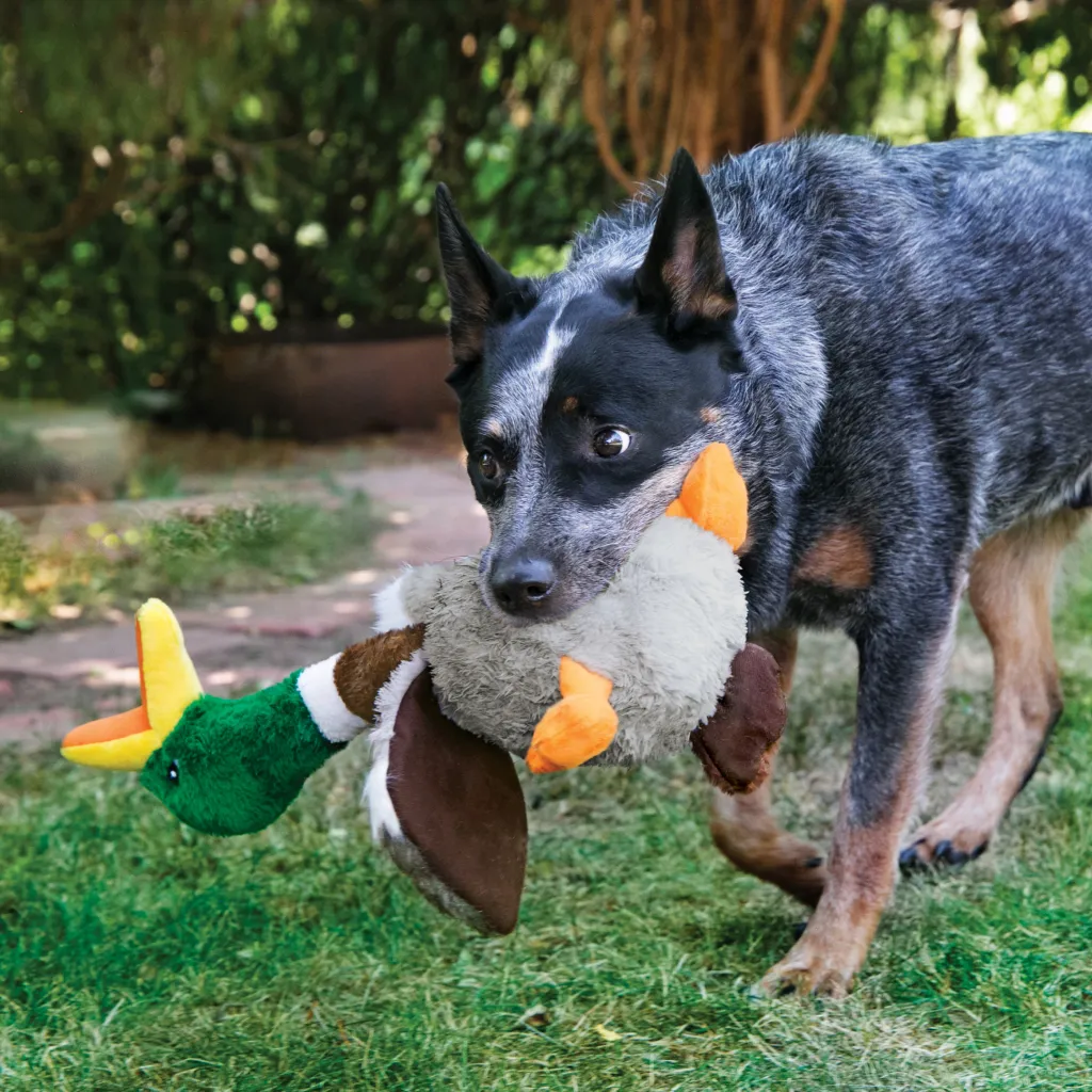 Kong Shakers Honkers Turkey Toy For Dogs (Large)