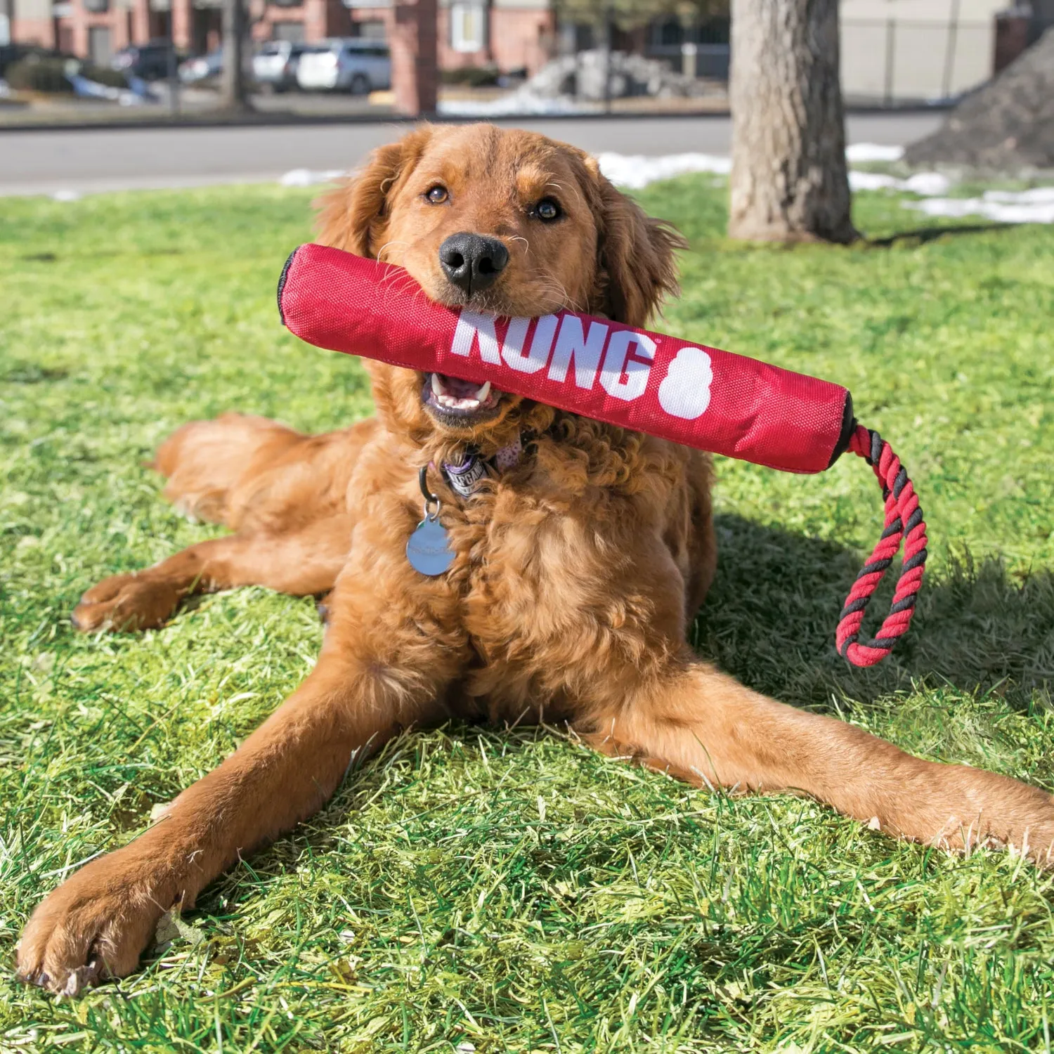 KONG Signature Stick with Rope