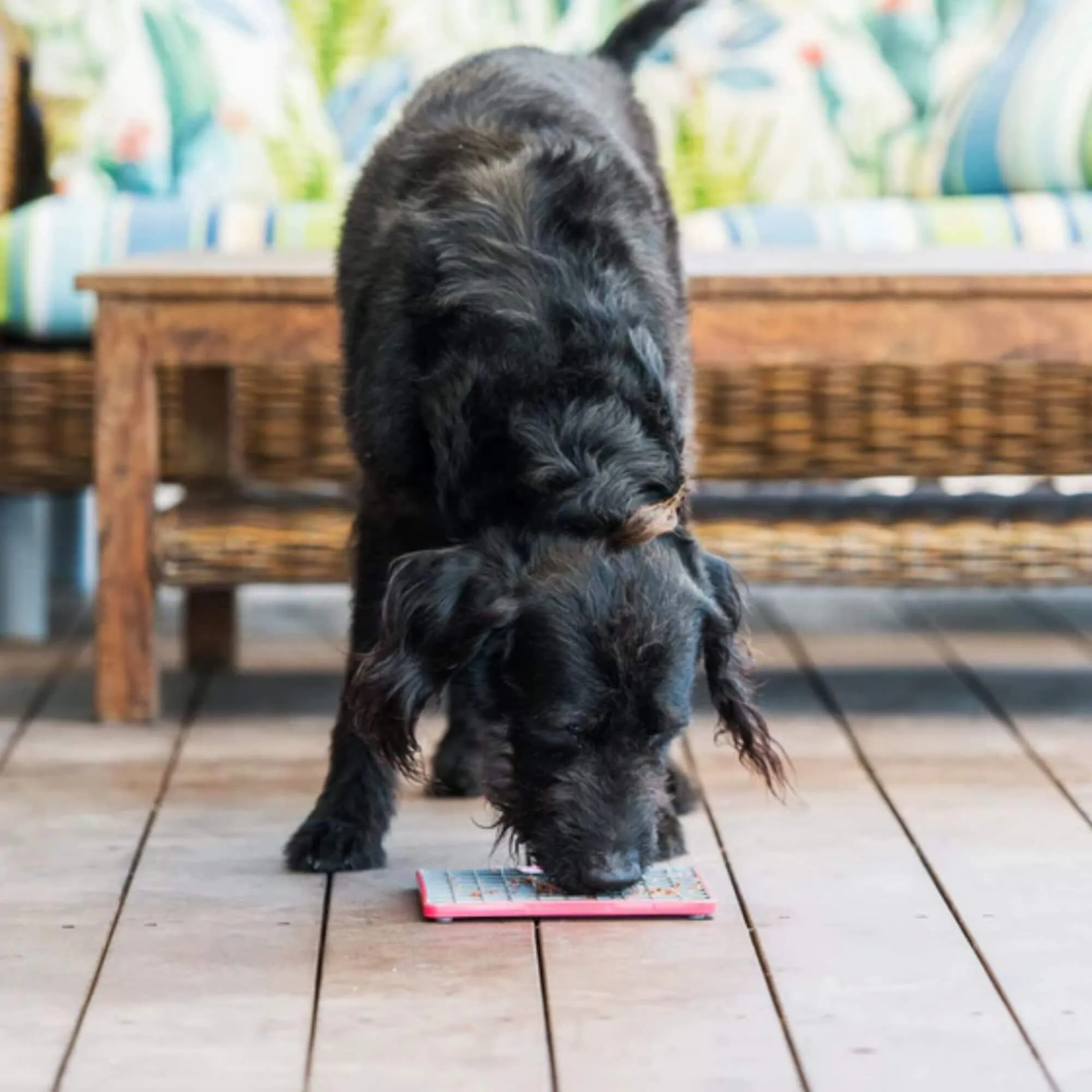 LickiMat Tuff Buddy Slow Feeder Mat for Dogs