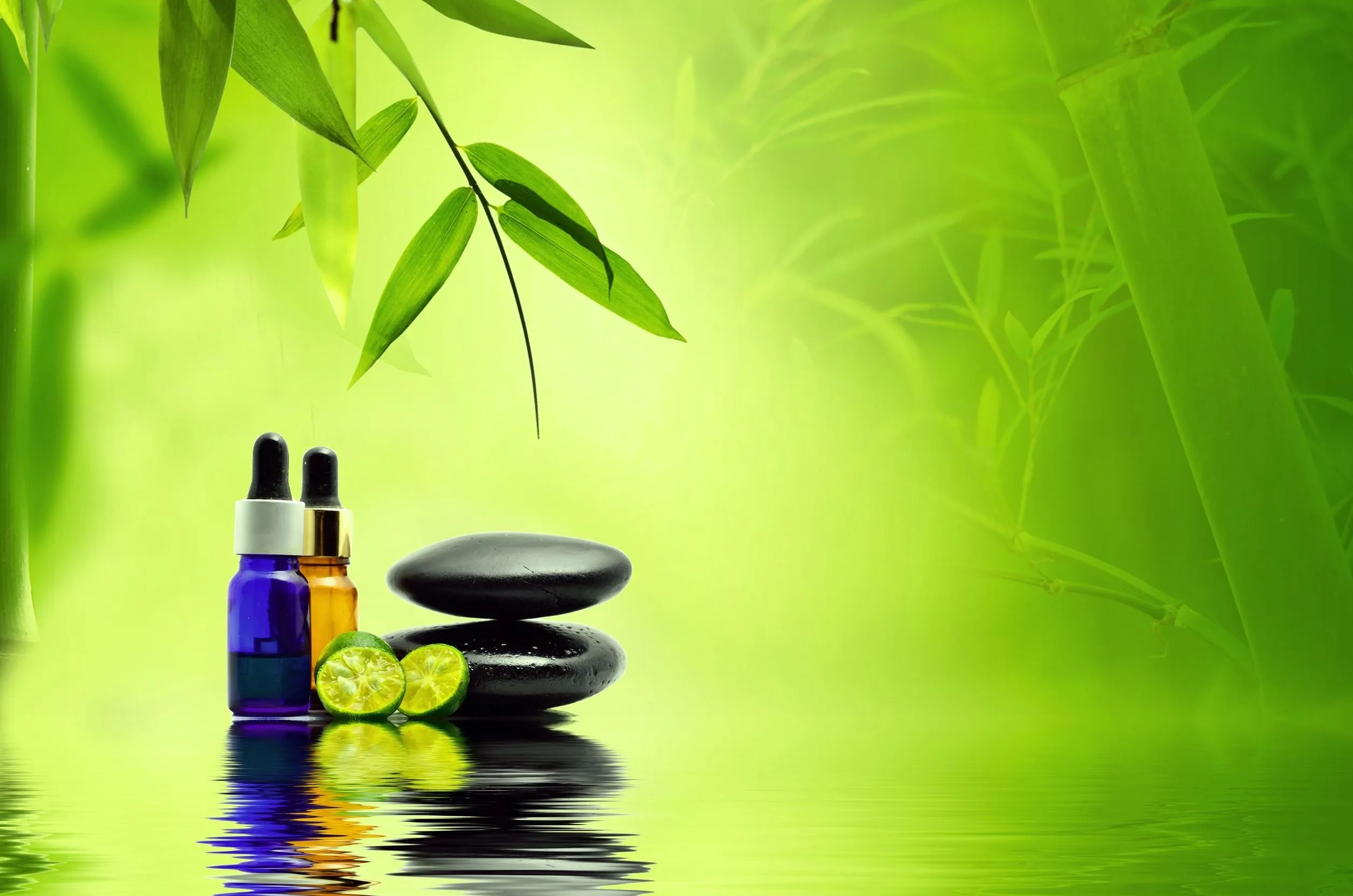 LIVE-IN PERSON 12 CE Aromatherapy & Hot Stone Massage Basics