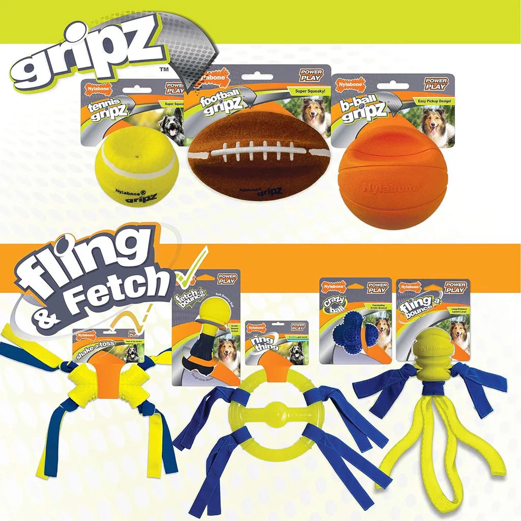 Nylabone Power Play Basketball B-Ball Gripz Dog Toy