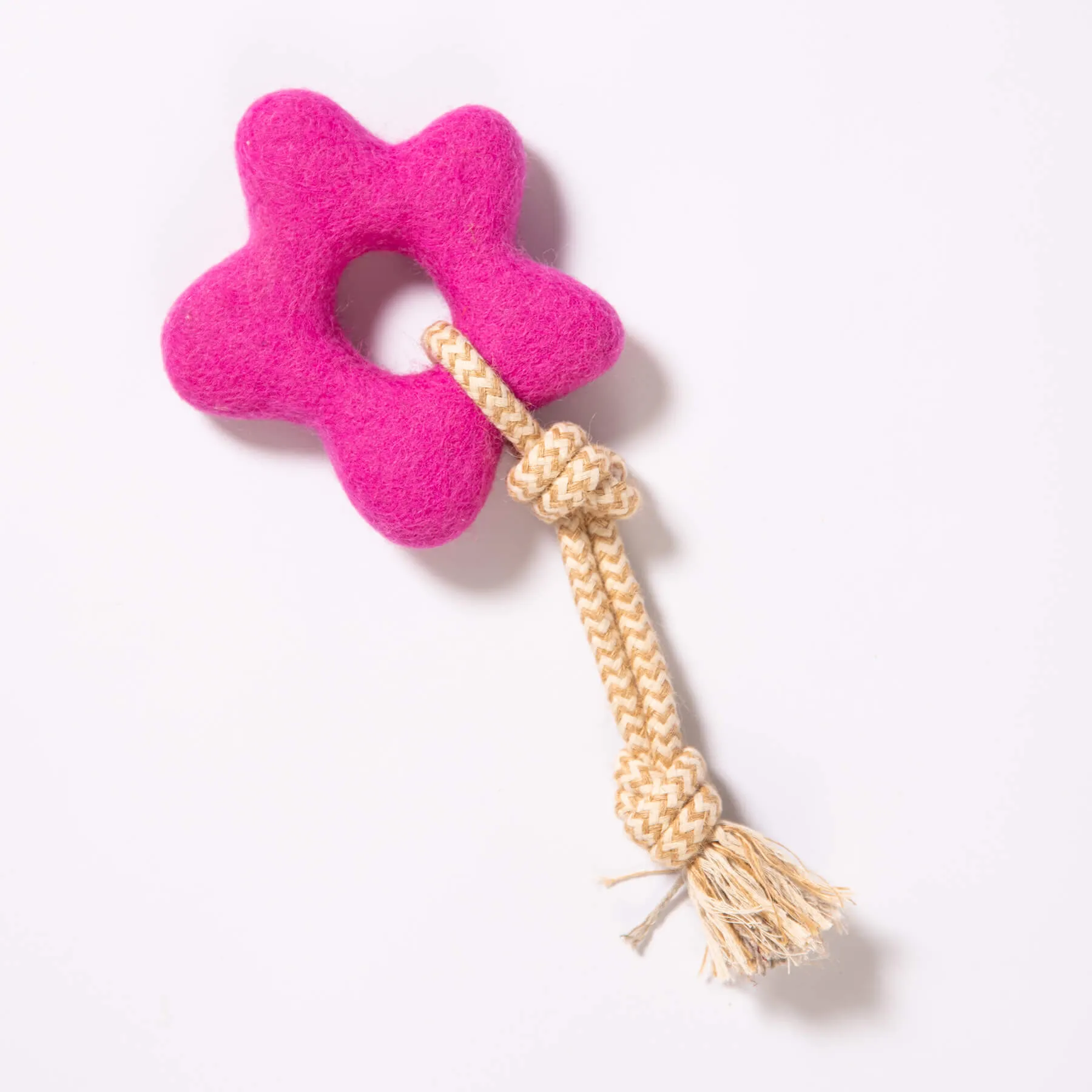 Pullin' Posies Felt Dog Toy