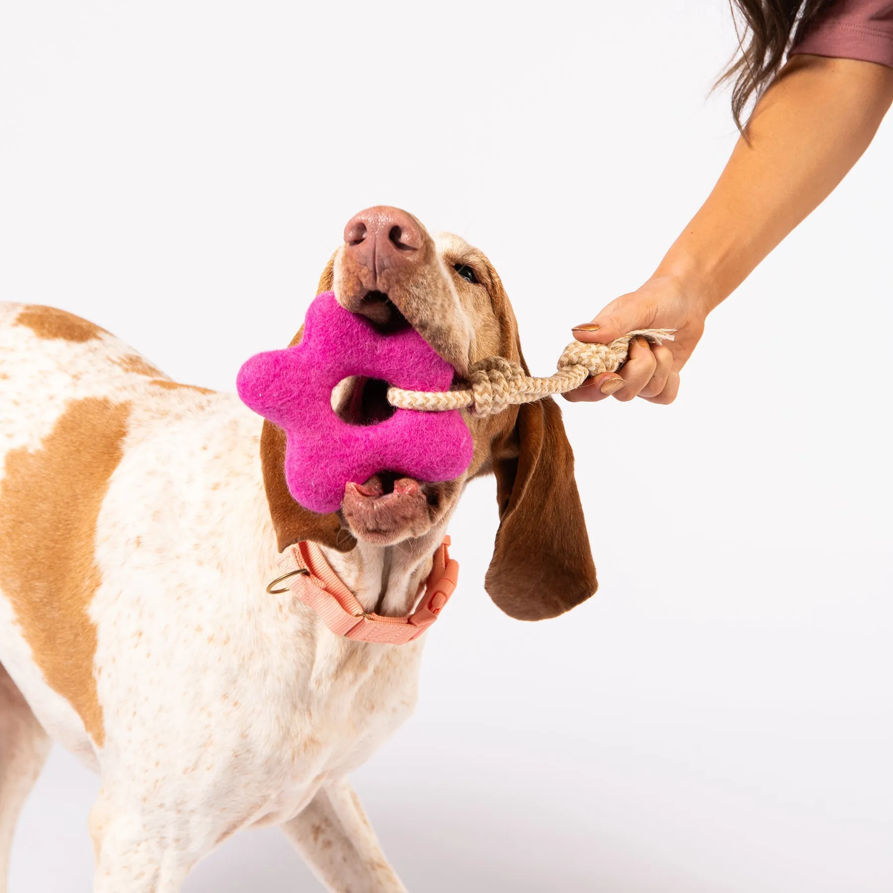 Pullin' Posies Felt Dog Toy