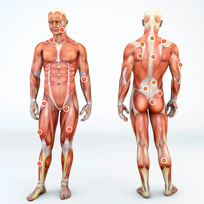 Self-paced Online Home Study 12 CE Hour Trigger Point Therapy & Myofascial Release