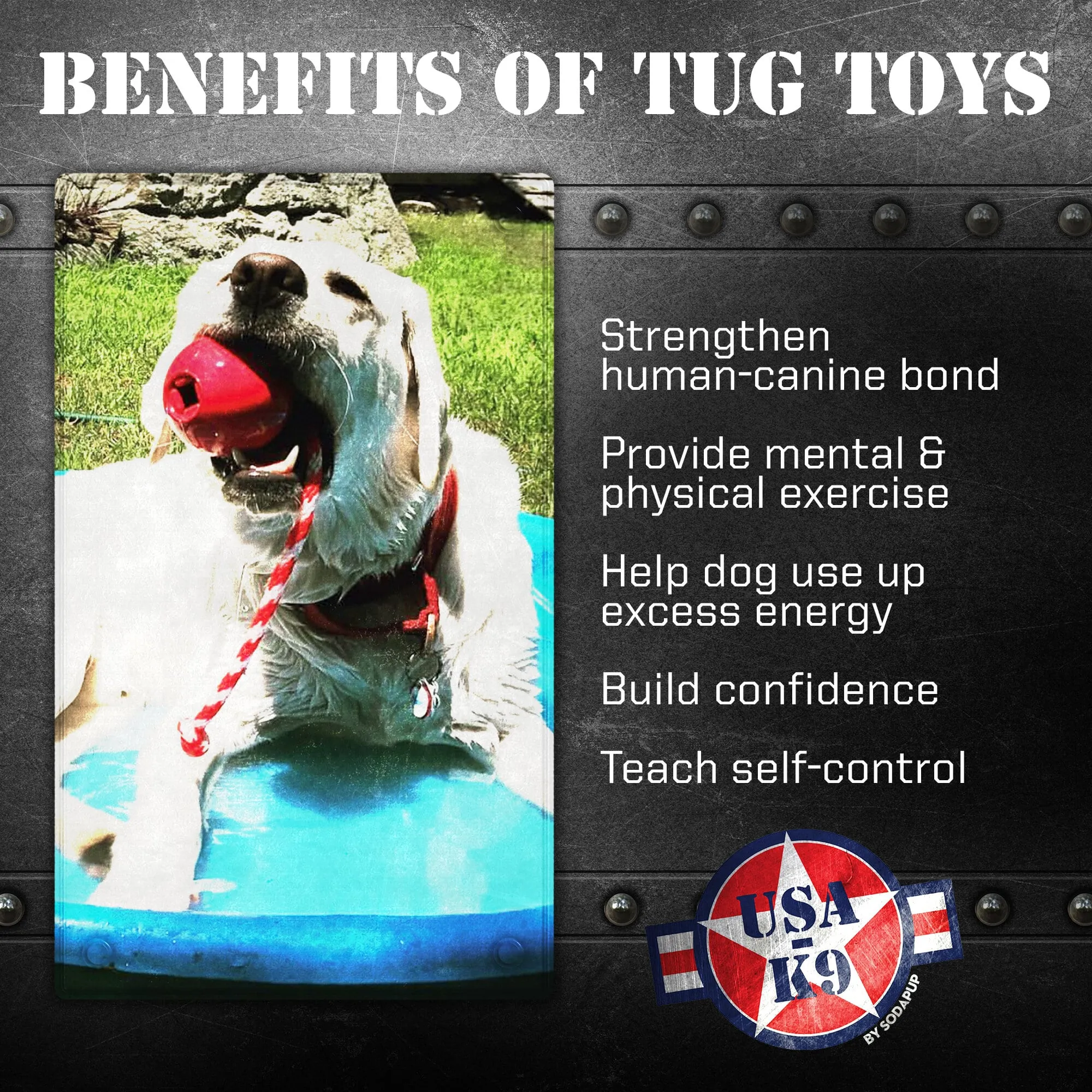 USA-K9 Cherry Bomb Durable Rubber Chew Toy, Treat Dispenser, Reward Toy, Tug Toy, and Retrieving Toy