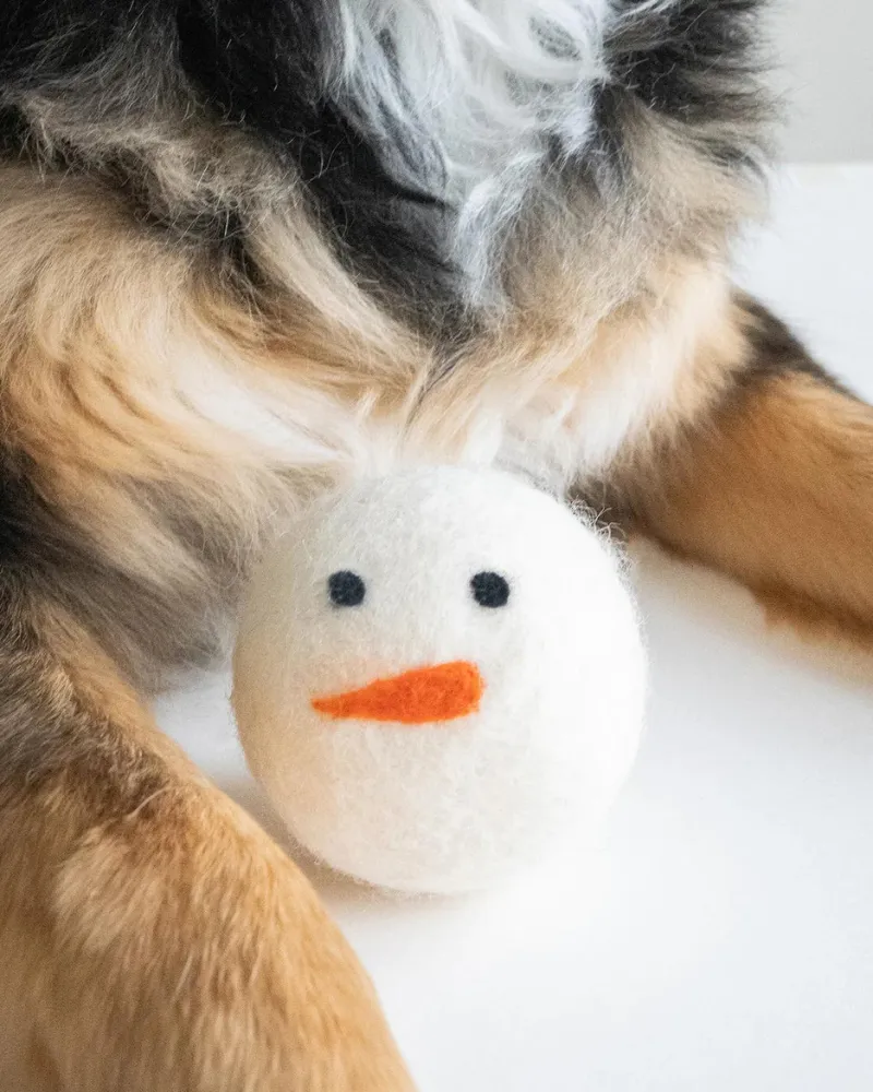 Winter Wool Beastball Dog Toy