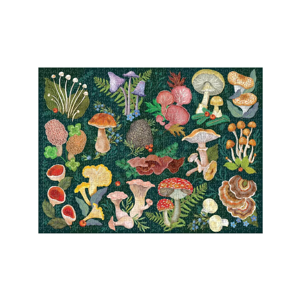 World Of Mushrooms 1000 Piece Jigsaw Puzzle