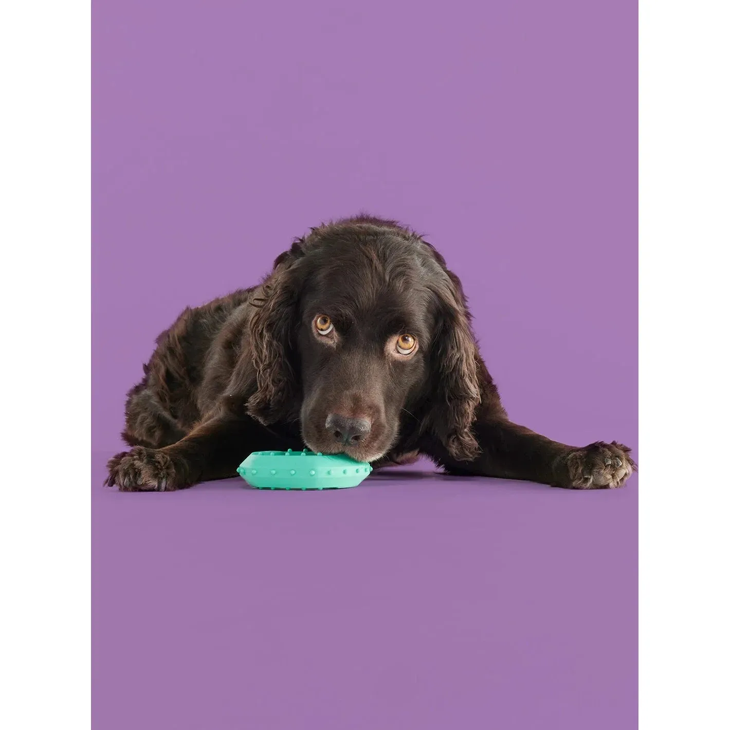 Yomp ChillChew BPA Free Food Grade Silicone Dog Toy