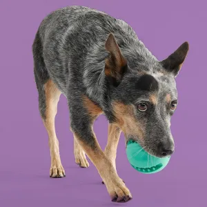 Yomp Snackin' Ball Dog Toy