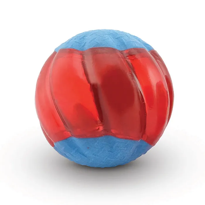 Zeus Duo Balls with Squeaker 2Pk 2 Sizes